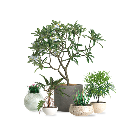 Fiori e piante artificiali