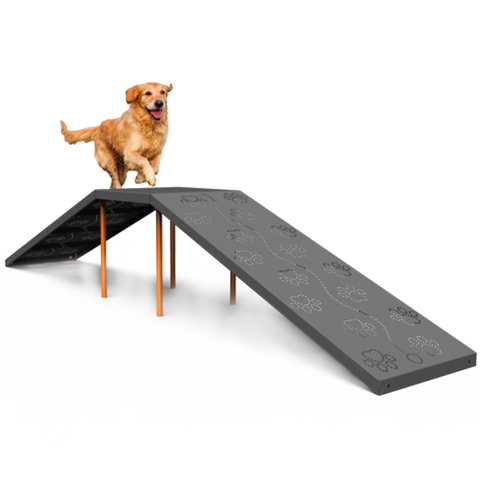 Giochi e Agility