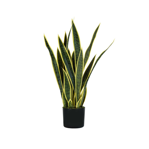 Pianta Ornamentale In Polietilene Per Decorazione 75cm