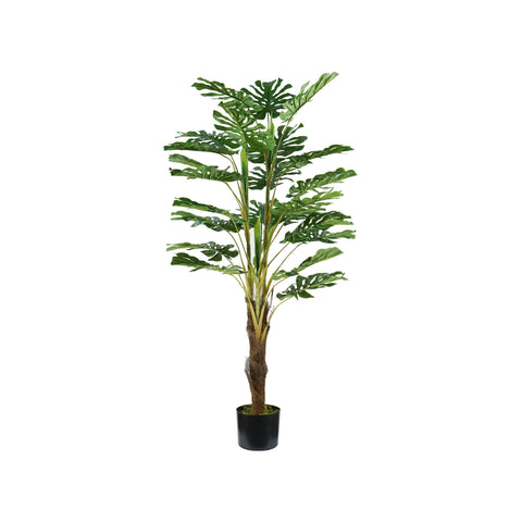 Pianta Monstera In Polietilene Con 24 Foglie E Vaso Con Muschio 120cm