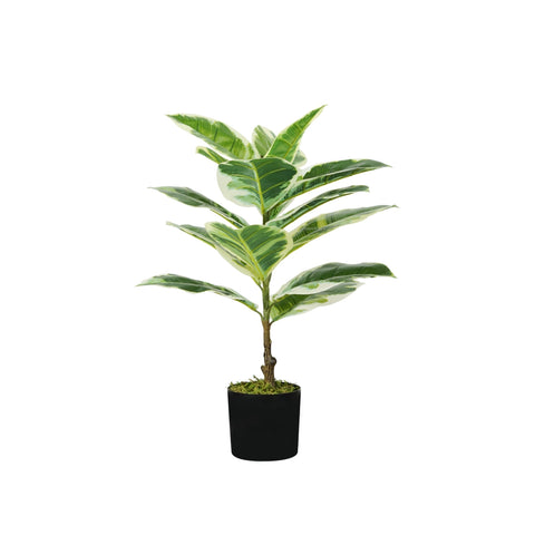 garden friend pianta ficus elastica in polietilene con 15 foglie e vaso con muschio 65cm ean 8023755056728