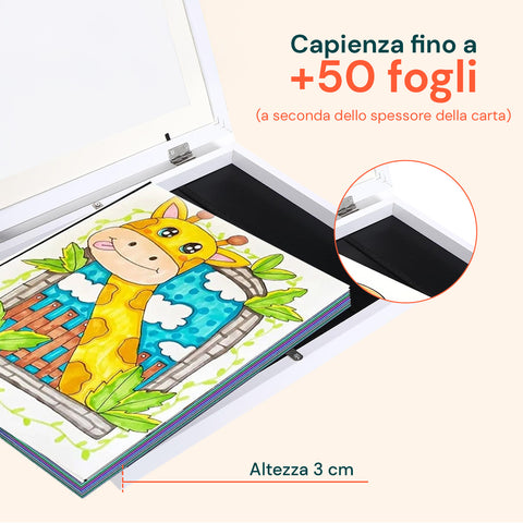Set 2 Cornici Espositive A4 Apribili da Parete con Vetrina e Chiusura Magnetica