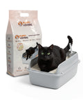 Substrato Assorbente Vegetale 6L - Sabbietta per Lettiera Gatto 4+2 Omaggio