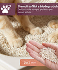 Substrato Assorbente Vegetale 6L - Sabbietta per Lettiera Gatto 4+2 Omaggio