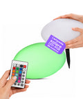 Lampada Solare da Giardino con Telecomando, Luci LED RGB+Bianco, 8 Ore, Batteria Li-ion, Picchetto e Pannello Solare Integrato