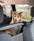 Cane sicuro in auto con barriera Wenko - Protezione sedili posteriori per viaggi senza distrazioni alla guida
