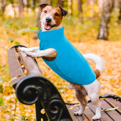 immagine-11-visto-in-tv-copertina-per-cani-con-maniche-ean-7569000696031