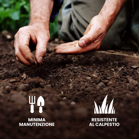 Semina di semi rigeneranti per prato con minima manutenzione e resistenza al calpestio, perfetti per tutti i tipi di terreno
