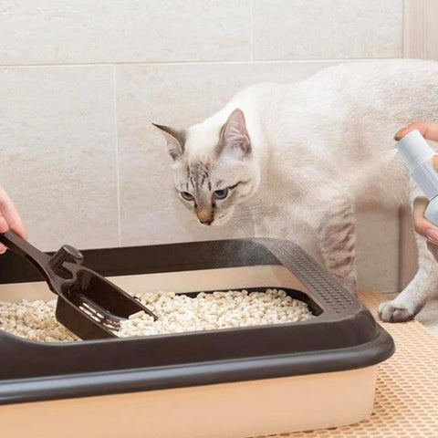 immagine-3-smapiu-spray-antiodore-per-lettiere-gatto-muschio-bianco-55ml-ean-8033765130301