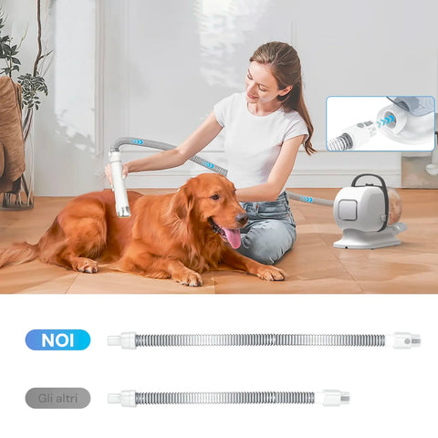 Toelettatura cane a casa con aspiratore silenzioso - Pet Grooming Set 350W per rimozione peli professionale domestica